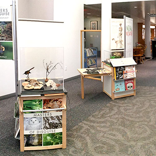 Upland® StoryCarts